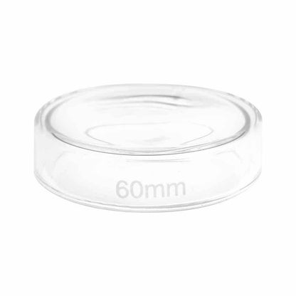 Teqler na płytce Petriego o średnicy 60 mm